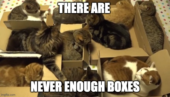 Never enough | THERE ARE; NEVER ENOUGH BOXES | image tagged in cats in boxes | made w/ Imgflip meme maker