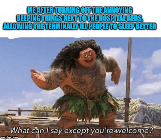 Deepest sleep possible | ME AFTER TURNING OFF THE ANNOYING BEEPING THINGS NEXT TO THE HOSPITAL BEDS, ALLOWING THE TERMINALLY ILL PEOPLE TO SLEEP BETTER | image tagged in what can i say except you're welcome,hospital,murder,memes,funny,dark humor | made w/ Imgflip meme maker