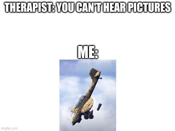 If you know what this plane is you deserve a veterans discount | THERAPIST: YOU CAN'T HEAR PICTURES; ME: | image tagged in airplane | made w/ Imgflip meme maker