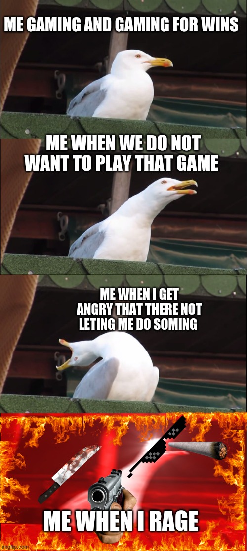 Inhaling Seagull | ME GAMING AND GAMING FOR WINS; ME WHEN WE DO NOT WANT TO PLAY THAT GAME; ME WHEN I GET ANGRY THAT THERE NOT LETING ME DO SOMING; ME WHEN I RAGE | image tagged in memes,inhaling seagull | made w/ Imgflip meme maker