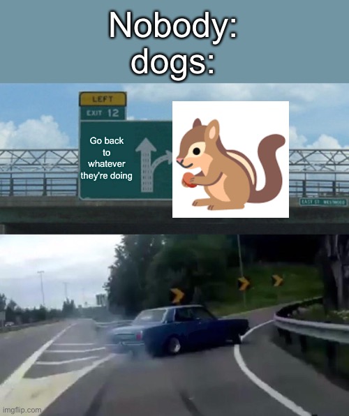 left exit 12 off ramp | Nobody:
dogs:; Go back to whatever they're doing | image tagged in memes,left exit 12 off ramp | made w/ Imgflip meme maker