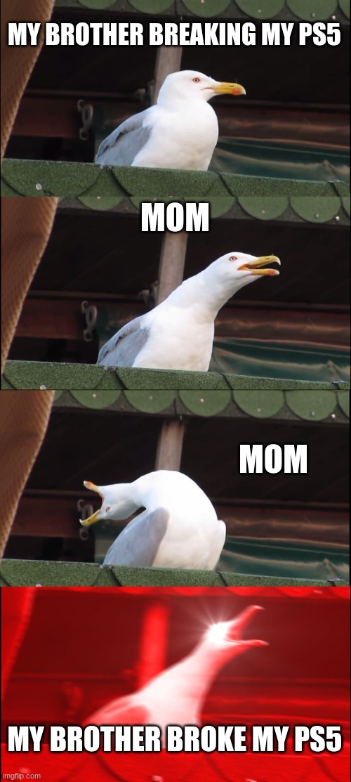 Inhaling Seagull | MY BROTHER BREAKING MY PS5; MOM; MOM; MY BROTHER BROKE MY PS5 | image tagged in memes,inhaling seagull | made w/ Imgflip meme maker