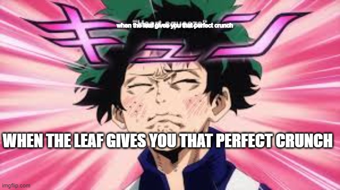 Deku Heart Squeeze | when the leaf gives you that perfect crunch; WHEN THE LEAF GIVES YOU THAT PERFECT CRUNCH | image tagged in deku heart squeeze | made w/ Imgflip meme maker