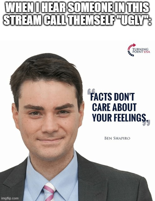 Facts don't care about your feelings | WHEN I HEAR SOMEONE IN THIS STREAM CALL THEMSELF "UGLY": | image tagged in ben shapiro | made w/ Imgflip meme maker