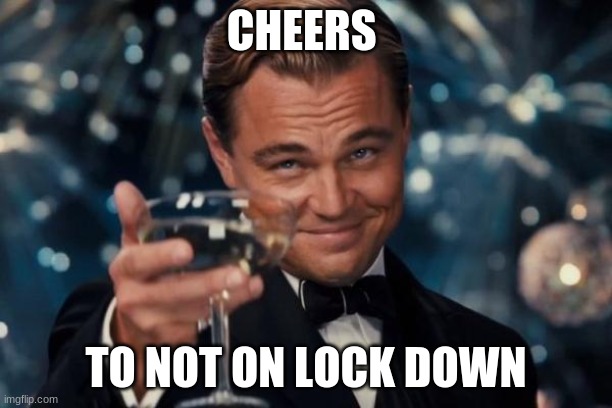 Leonardo Dicaprio Cheers Meme | CHEERS; TO NOT ON LOCK DOWN | image tagged in memes,leonardo dicaprio cheers | made w/ Imgflip meme maker