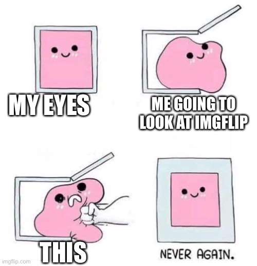 Never again | MY EYES ME GOING TO LOOK AT IMGFLIP THIS | image tagged in never again | made w/ Imgflip meme maker