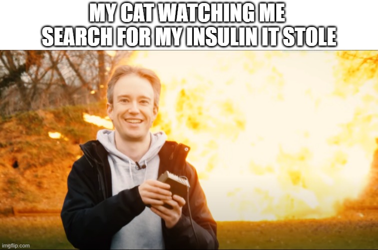 MY CAT WATCHING ME 
SEARCH FOR MY INSULIN IT STOLE | made w/ Imgflip meme maker