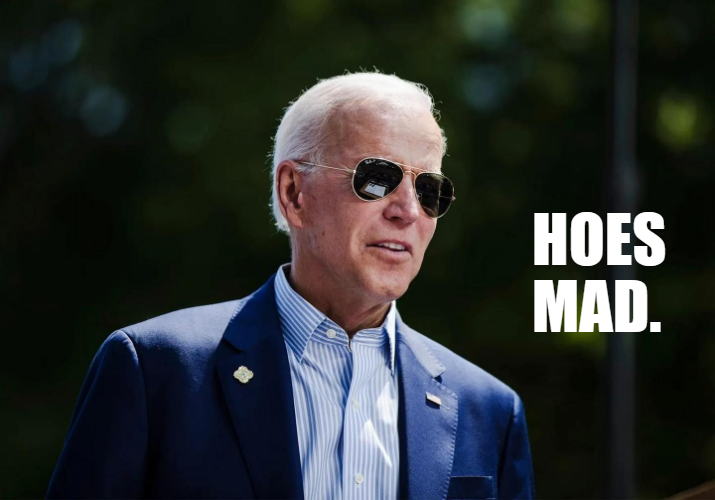 Joe Biden hoes mad Blank Meme Template