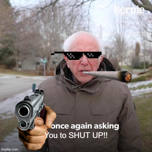 Bernie I Am Once Again Asking For Your Support | You to SHUT UP!! | image tagged in memes,bernie i am once again asking for your support | made w/ Imgflip meme maker