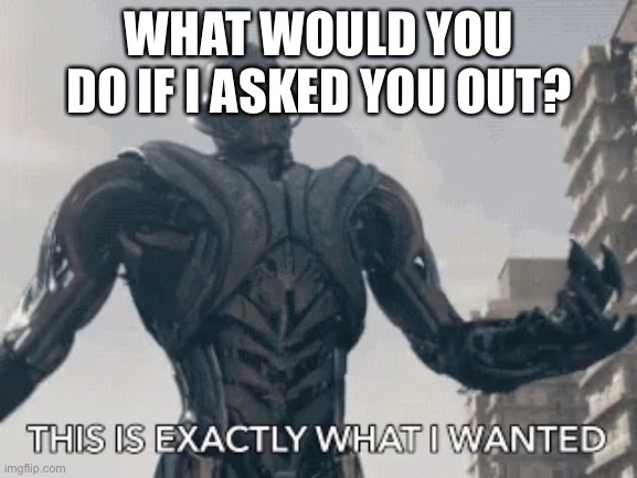 This is exactly what I wanted | WHAT WOULD YOU DO IF I ASKED YOU OUT? | image tagged in this is exactly what i wanted | made w/ Imgflip meme maker