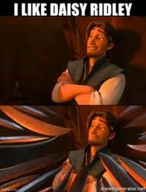 Literally | image tagged in flynn rider swords | made w/ Imgflip meme maker