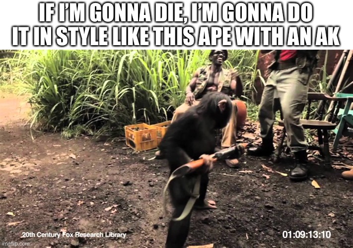 and they wonder why women live longer than men | IF I’M GONNA DIE, I’M GONNA DO IT IN STYLE LIKE THIS APE WITH AN AK | image tagged in memes,funny,apes,guns | made w/ Imgflip meme maker