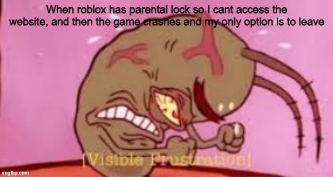 This is probably relatable to people who have parental lock on roblox | When roblox has parental lock so I cant access the website, and then the game crashes and my only option is to leave | image tagged in visible frustration | made w/ Imgflip meme maker