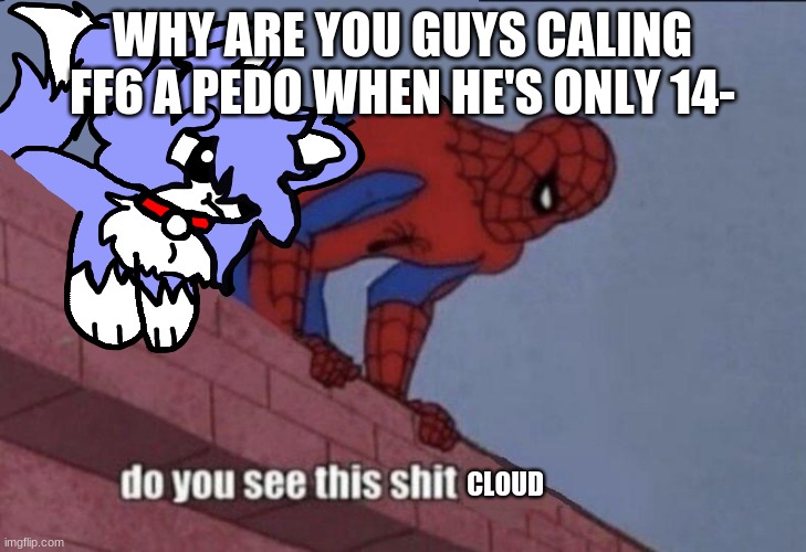 Cloud do you see this shit | WHY ARE YOU GUYS CALING FF6 A PEDO WHEN HE'S ONLY 14- | image tagged in cloud do you see this shit | made w/ Imgflip meme maker