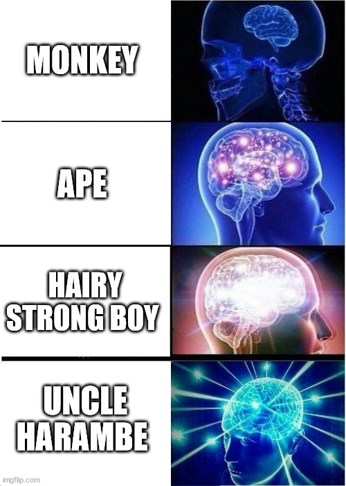 Expanding Brain Meme | MONKEY; APE; HAIRY STRONG BOY; UNCLE HARAMBE | image tagged in memes,expanding brain | made w/ Imgflip meme maker