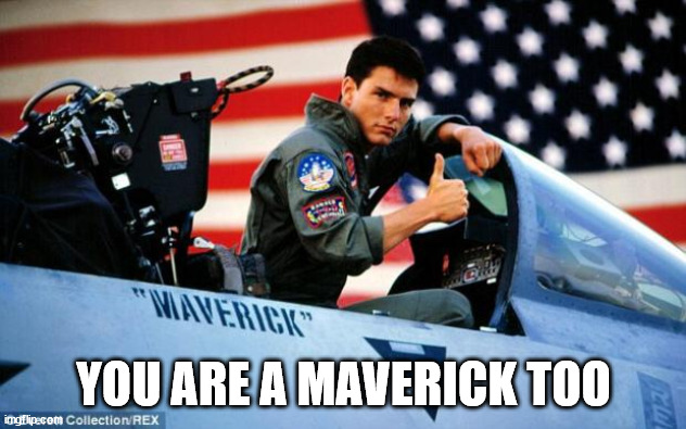 Top gun  | YOU ARE A MAVERICK TOO | image tagged in top gun | made w/ Imgflip meme maker