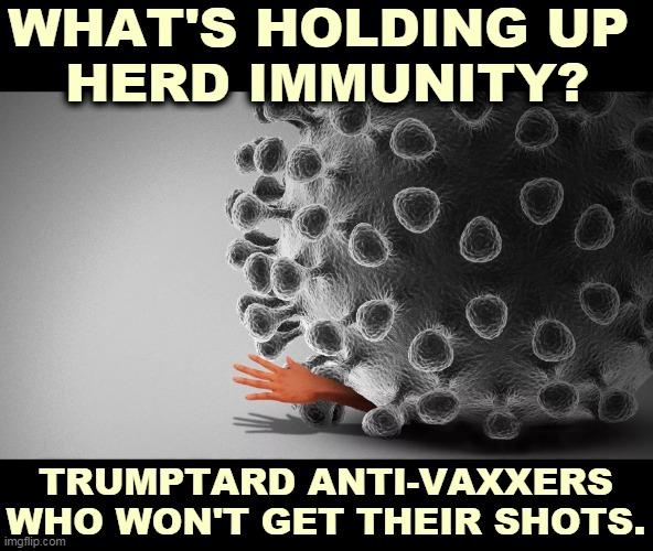 No vaccinations? No herd immunity. Not without vaccinations. We're waiting for you. | WHAT'S HOLDING UP 
HERD IMMUNITY? TRUMPTARD ANTI-VAXXERS WHO WON'T GET THEIR SHOTS. | image tagged in covid-19,pandemic,vaccinations | made w/ Imgflip meme maker