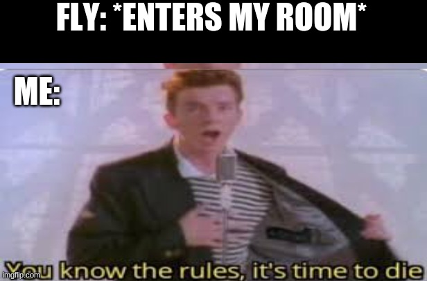 Fly | FLY: *ENTERS MY ROOM*; ME: | image tagged in fly,die | made w/ Imgflip meme maker