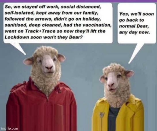 Liberal Sheep | image tagged in covidiots,sheeple,coronavirus meme,libtards | made w/ Imgflip meme maker