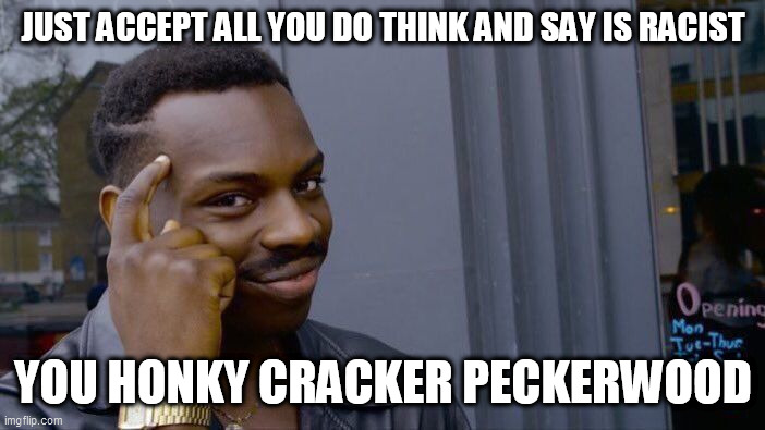 Roll Safe Think About It Meme | JUST ACCEPT ALL YOU DO THINK AND SAY IS RACIST; YOU HONKY CRACKER PECKERWOOD | image tagged in memes,roll safe think about it | made w/ Imgflip meme maker