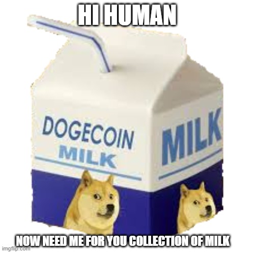 Doge Milk | HI HUMAN NOW NEED ME FOR YOU COLLECTION OF MILK | image tagged in doge milk | made w/ Imgflip meme maker