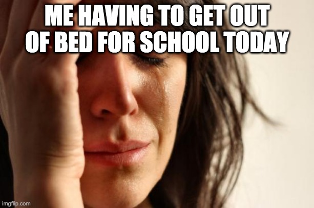 First World Problems Meme | ME HAVING TO GET OUT OF BED FOR SCHOOL TODAY | image tagged in memes,first world problems | made w/ Imgflip meme maker