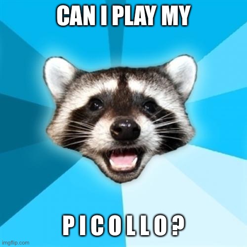 Lame Pun Coon Meme | CAN I PLAY MY P I C O L L O ? | image tagged in memes,lame pun coon | made w/ Imgflip meme maker