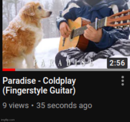 AcousticTrench still counts as dogs, right? He has his dogs during his videos | image tagged in acoustictrench,dog | made w/ Imgflip meme maker