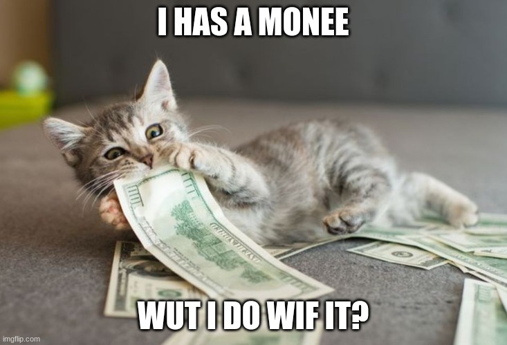 Cash Kitteh | I HAS A MONEE; WUT I DO WIF IT? | image tagged in cash kitteh | made w/ Imgflip meme maker