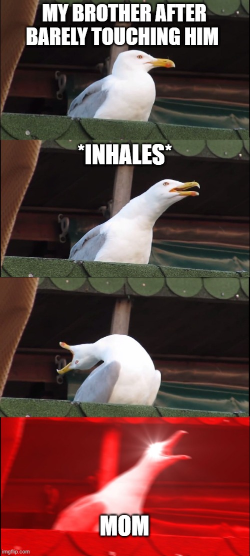 Inhaling Seagull Meme | MY BROTHER AFTER BARELY TOUCHING HIM; *INHALES*; MOM | image tagged in memes,inhaling seagull | made w/ Imgflip meme maker