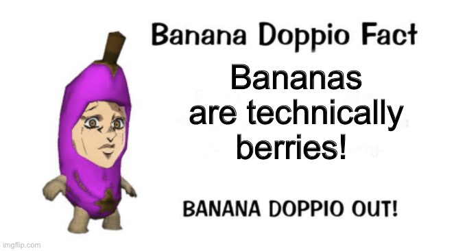 Banana Doppio | Bananas are technically berries! | image tagged in banana doppio | made w/ Imgflip meme maker