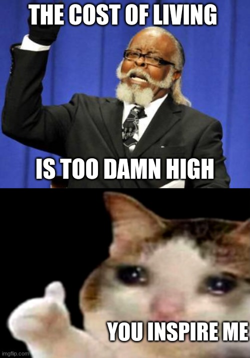 It is too damn much to live and itsto damn much to die so you would end up dying broke and unhappy while you aree dead | THE COST OF LIVING; IS TOO DAMN HIGH; YOU INSPIRE ME | image tagged in memes,too damn high,sad cat thumbs up | made w/ Imgflip meme maker