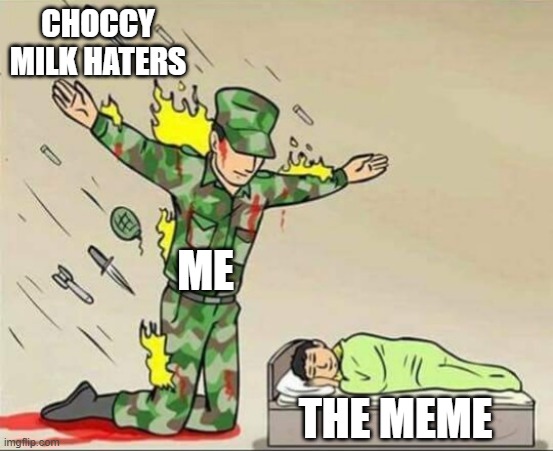 keep the meme alive | CHOCCY MILK HATERS; ME; THE MEME | image tagged in soldier protecting sleeping child | made w/ Imgflip meme maker
