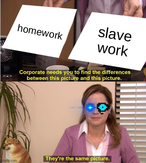 They're The Same Picture | homework; slave work | image tagged in memes,they're the same picture | made w/ Imgflip meme maker