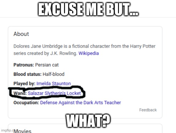 What? | EXCUSE ME BUT... WHAT? | image tagged in harry potter,what,messed up | made w/ Imgflip meme maker