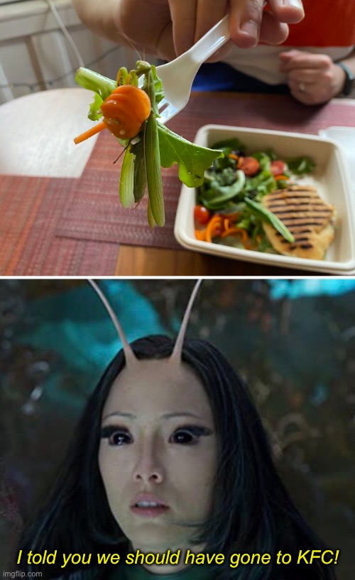 Chicken With a Side of Mantis | I told you we should have gone to KFC! | image tagged in funny memes,mantis,food,fail | made w/ Imgflip meme maker