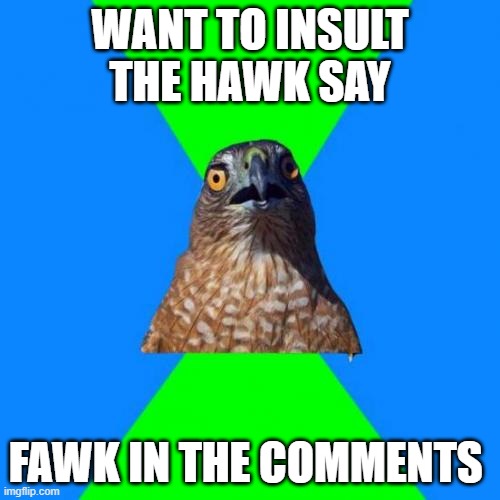 FAWK | WANT TO INSULT THE HAWK SAY; FAWK IN THE COMMENTS | image tagged in memes,hawkward | made w/ Imgflip meme maker