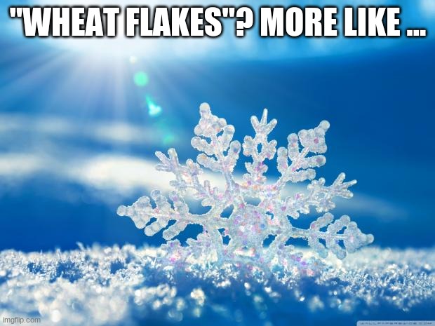 snowflake | "WHEAT FLAKES"? MORE LIKE ... | image tagged in snowflake | made w/ Imgflip meme maker