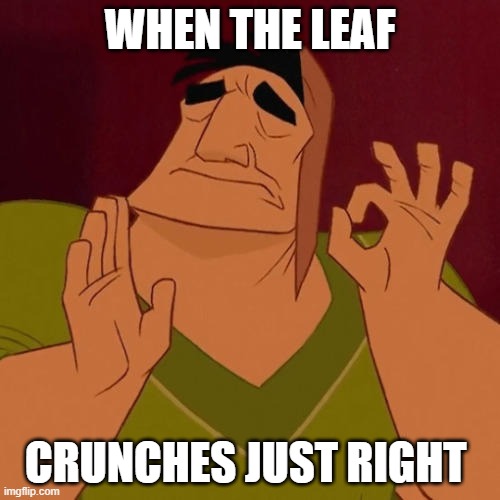 When X just right | WHEN THE LEAF; CRUNCHES JUST RIGHT | image tagged in when x just right | made w/ Imgflip meme maker