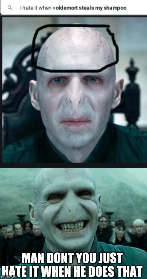 Man dont you just hate that. | MAN DONT YOU JUST HATE IT WHEN HE DOES THAT | image tagged in harry potter,voldemort,funny | made w/ Imgflip meme maker