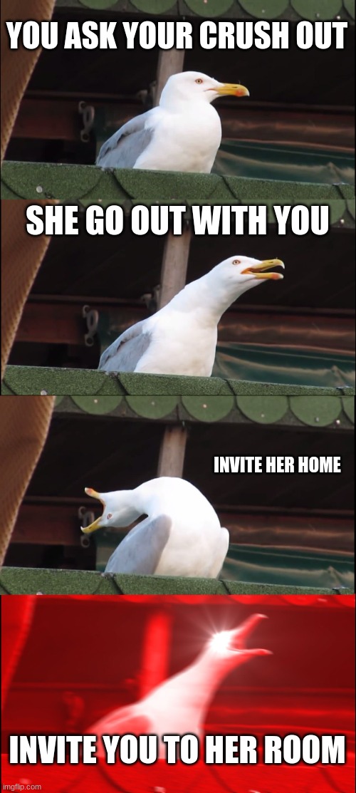 Inhaling Seagull | YOU ASK YOUR CRUSH OUT; SHE GO OUT WITH YOU; INVITE HER HOME; INVITE YOU TO HER ROOM | image tagged in memes,inhaling seagull | made w/ Imgflip meme maker