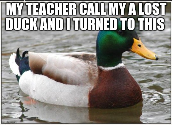 Actual Advice Mallard | MY TEACHER CALL MY A LOST DUCK AND I TURNED TO THIS | image tagged in memes,actual advice mallard | made w/ Imgflip meme maker