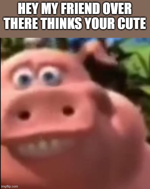 HEY MY FRIEND OVER THERE THINKS YOUR CUTE | image tagged in ugly girl | made w/ Imgflip meme maker