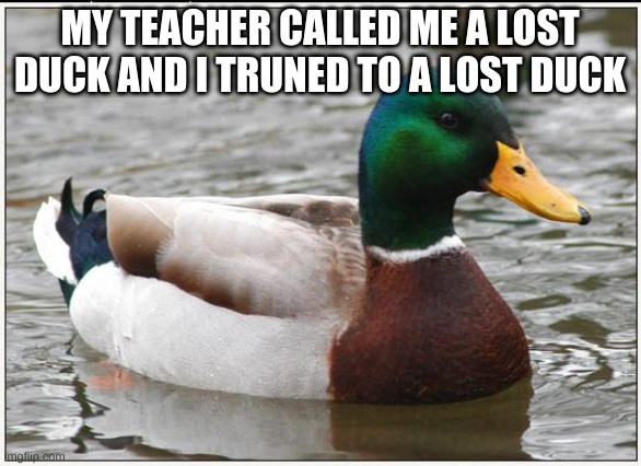 this is how i became a lost duck | MY TEACHER CALLED ME A LOST DUCK AND I TRUNED TO A LOST DUCK | image tagged in memes,actual advice mallard | made w/ Imgflip meme maker