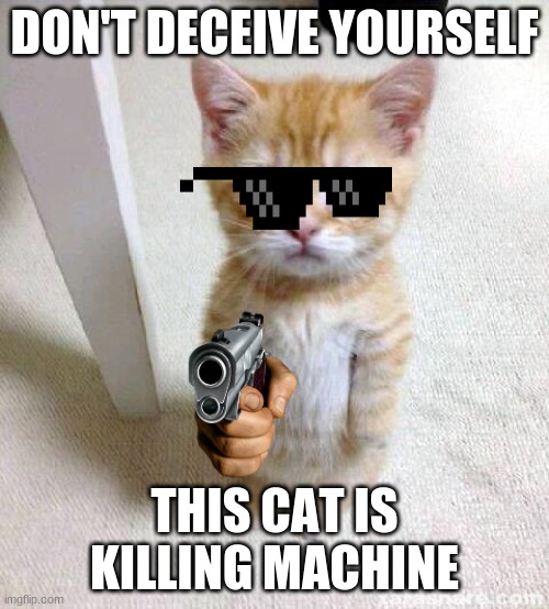 Cute Cat Meme | DON'T DECEIVE YOURSELF; THIS CAT IS KILLING MACHINE | image tagged in memes,cute cat | made w/ Imgflip meme maker