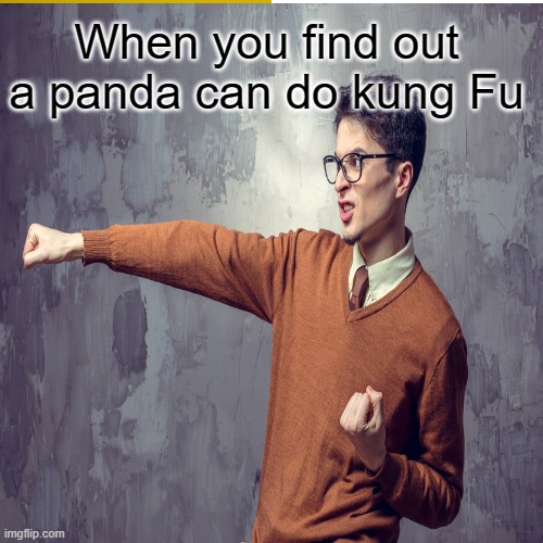Kung Fu | When you find out a panda can do kung Fu | image tagged in memes | made w/ Imgflip meme maker