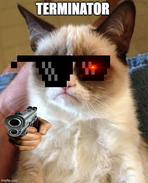 Grumpy Cat | TERMINATOR | image tagged in memes,grumpy cat | made w/ Imgflip meme maker
