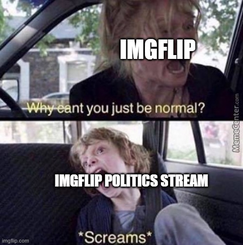 Why Can't You Just Be Normal |  IMGFLIP; IMGFLIP POLITICS STREAM | image tagged in why can't you just be normal | made w/ Imgflip meme maker