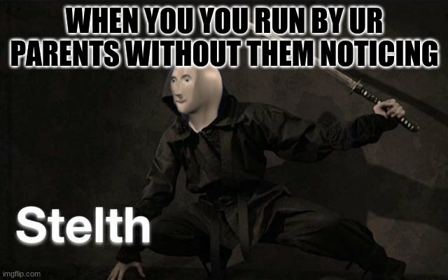 yes | WHEN YOU YOU RUN BY UR PARENTS WITHOUT THEM NOTICING | image tagged in stelth | made w/ Imgflip meme maker