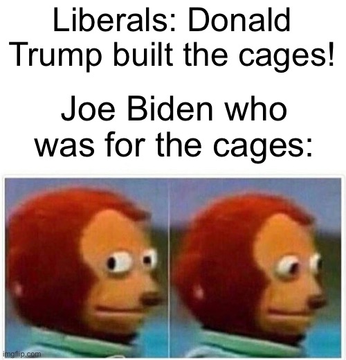 Who built the cages, Joe? | Liberals: Donald Trump built the cages! Joe Biden who was for the cages: | image tagged in memes,monkey puppet | made w/ Imgflip meme maker